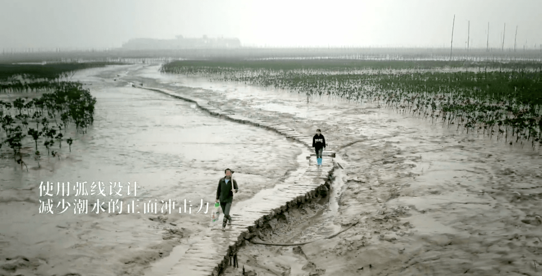 汐路桥位于福建霞浦沙江镇竹江村,小马村,是国内目前发现最长的古代海