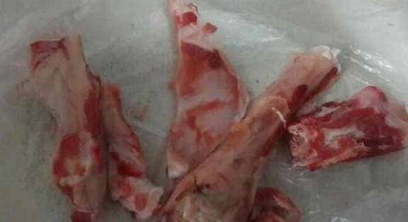 几个月可以吃肉骨头 75d61f0325664a899d980c390bc834d9.jpeg