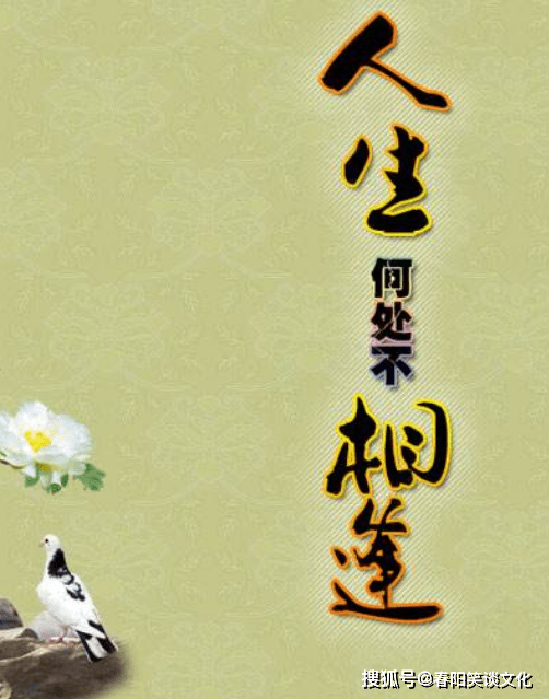 人生所有的相逢,往往源于不起眼的开始