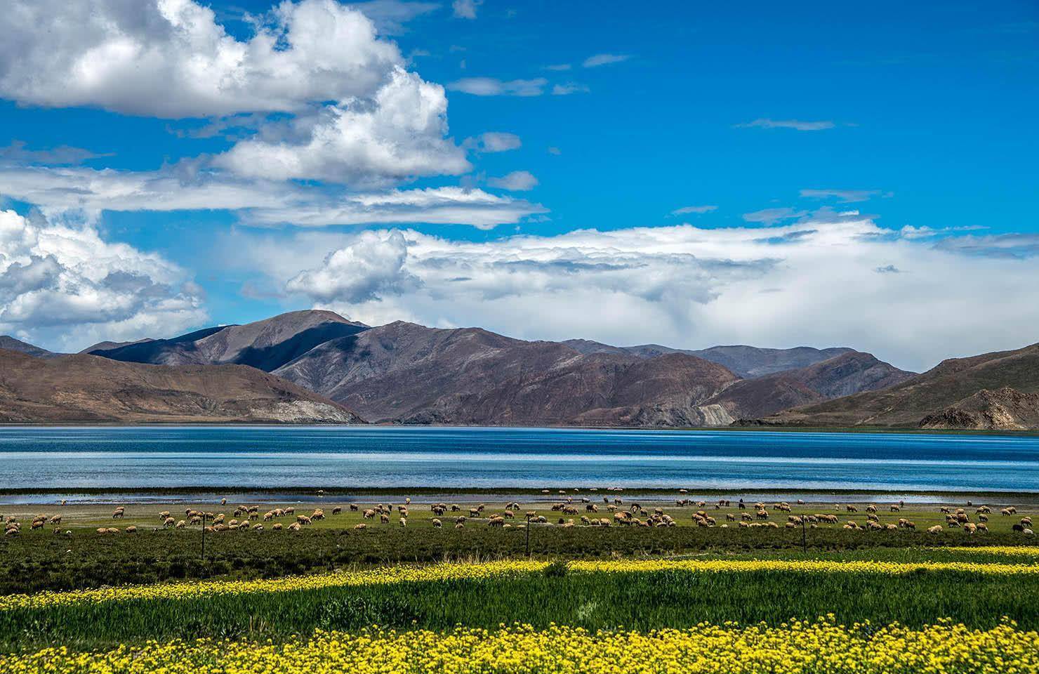 中国最清澈湖泊未经任何污染曾因水上游船项目遭游客集体反对