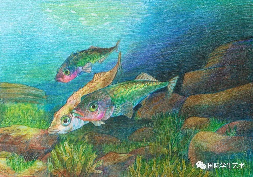 遇见更好的自己丨2021年美国国家鱼类艺术竞赛获奖作品欣赏_比赛
