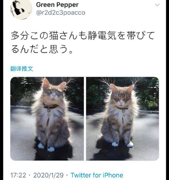 470e9dcfc9764b8786895d2b5faa8891.jpeg