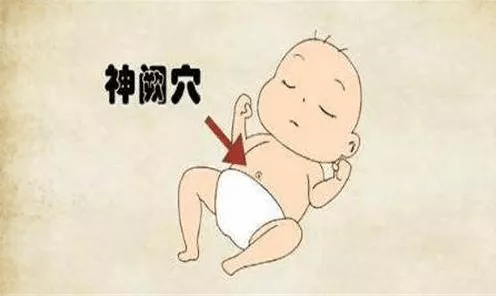神奇的中医穴位(三)神阙穴_先天