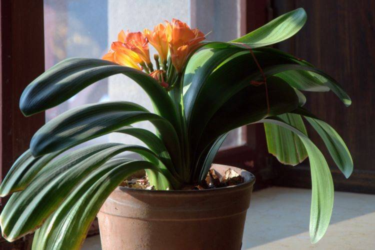 一般多久可以开到1万公里 d939d14824df4cf4bf7a30e81e8c7a42.jpeg