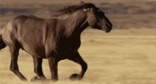 3,生肖属蛇女生肖属蛇女天分之间就是温顺而多变的,所以在这类人的