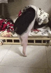 搞笑段子gif小姐姐是来比赛的还是来逗评委的