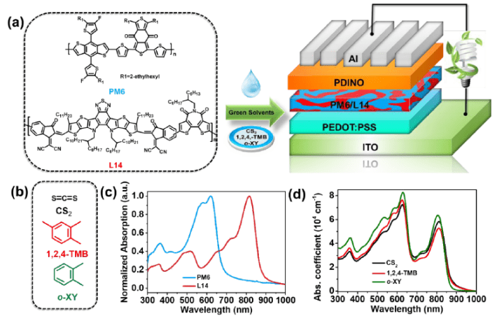 郭旭岗 Amp 孟鸿等人ees 基于绿色溶剂处理的高效全聚合物有机太阳能电池 All Pscs