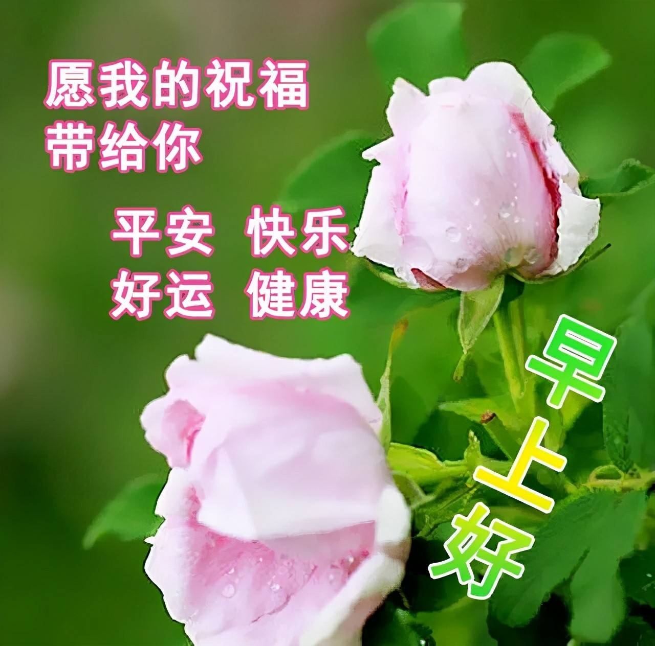 清晨温馨祝愿