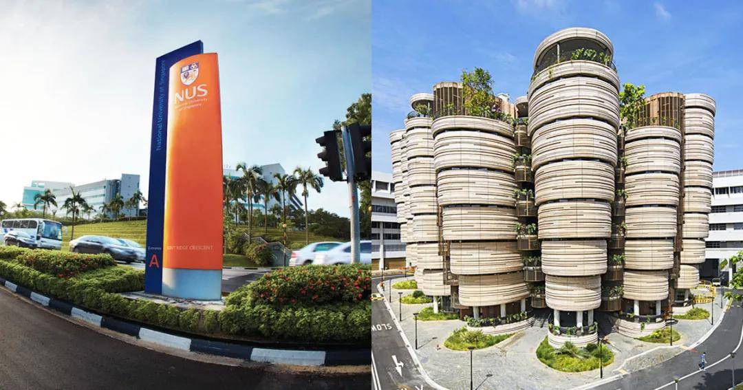 新加坡国际学校排行榜_上海、香港、新加坡国际化学校大PK:学费、课程...谁更胜一筹?(2)