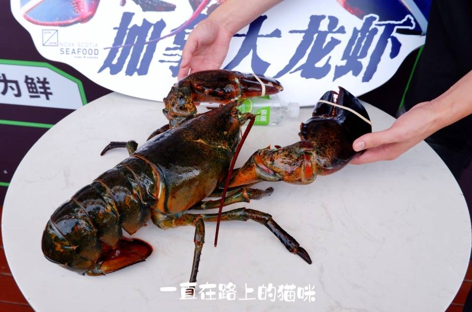 超级物种加拿大龙虾节16种龙虾做法款款惊艳