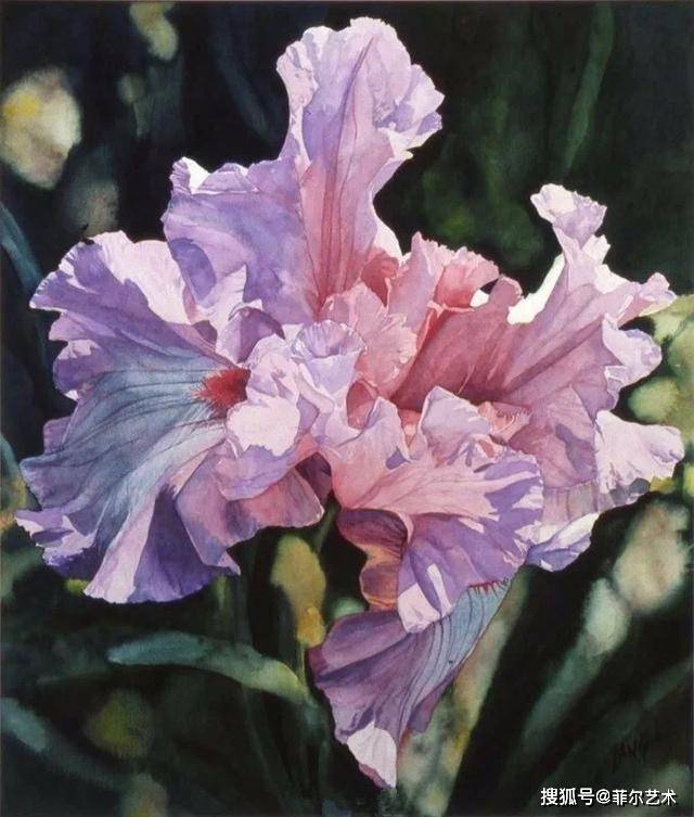 美国水彩画家海蒂水彩作品真实的静态空间~呈现逼真质感