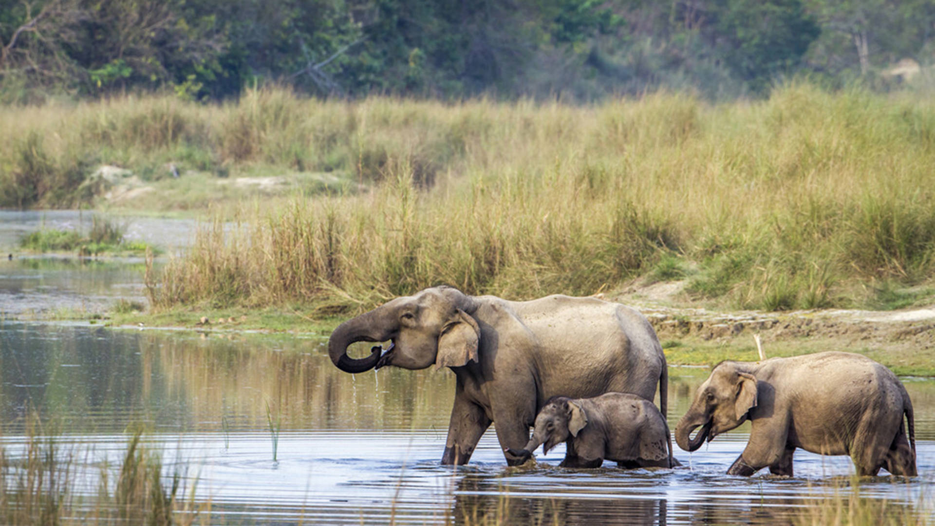 大象依甸园秘密人口 伊园甸2022入口大象