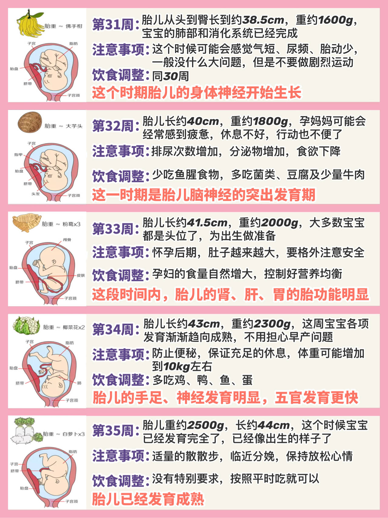 怀孕40周胎儿发育过程注意事项和饮食营养