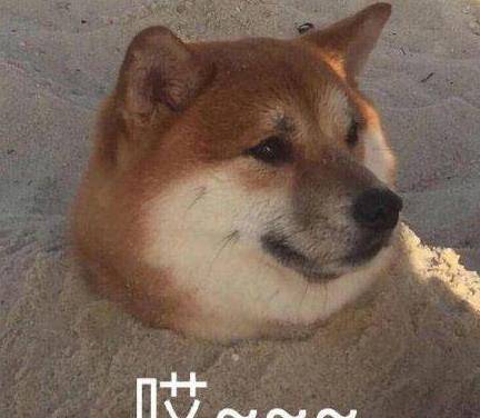 506c34fc0ef848a693b41ce3398173d6.jpeg