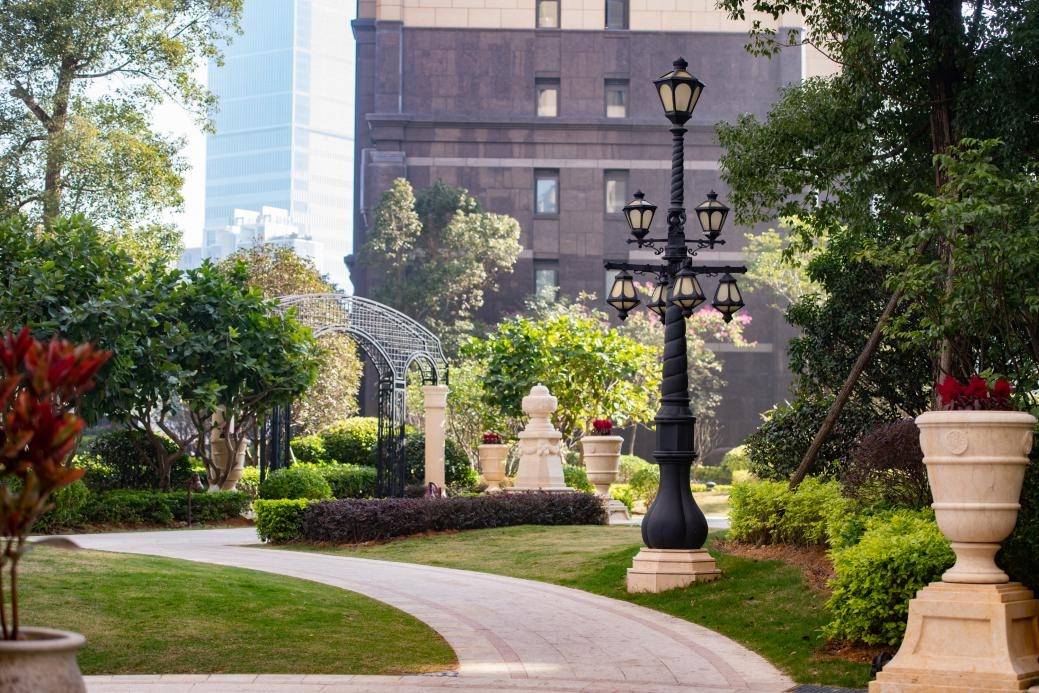 厦门华尔顿1275火的一塌糊涂华尔顿1275了解背后原因以及详情