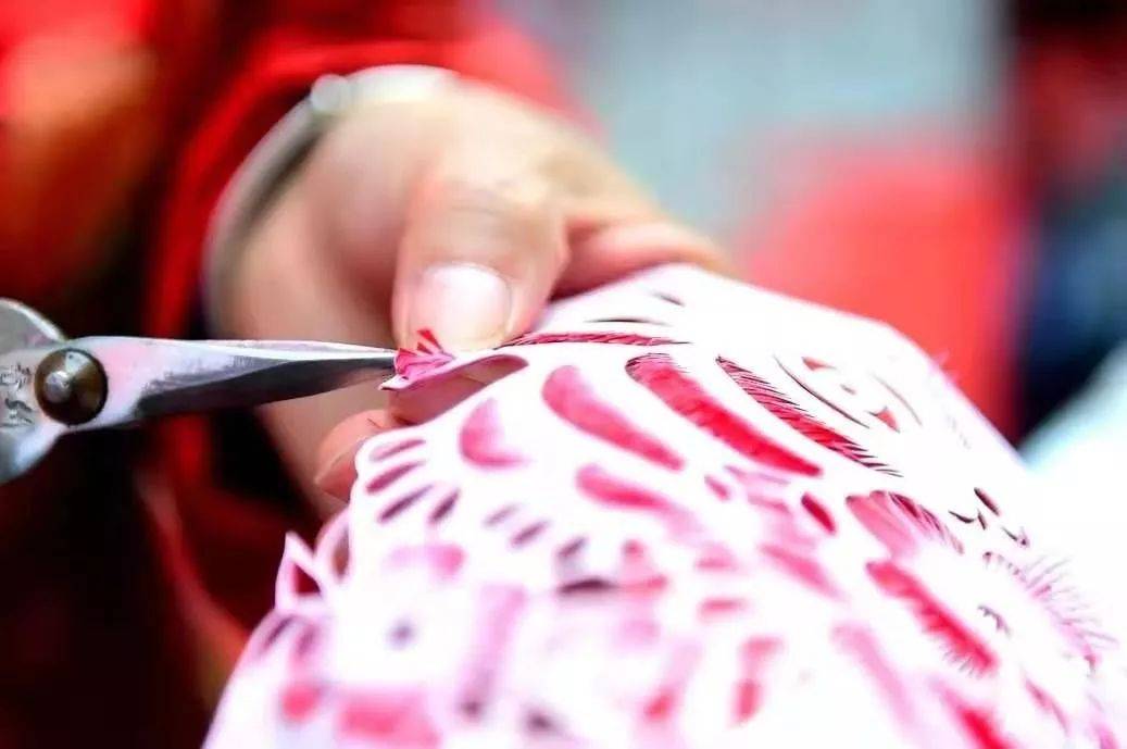 27代表什么省份 519ddf51dd134666b9fba4301f28834d.jpeg