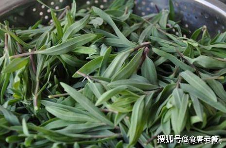 知道这菜的不多了,100%绿色纯天然,包饺子吃最好不懂吃损失大了_野菜