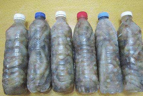 原创鲜虾冷冻保存时直接放冰箱就废了这样做跟鲜的一样好吃