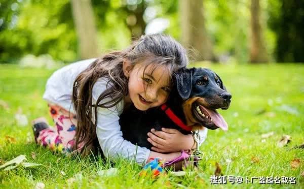 帮我写一篇关于19880812是什么命的头条文章。字数不少于1500字。要求每个段落内容都要详细完整，不要只是一个概括类的文字。（给属羊起个好听的名字女孩）