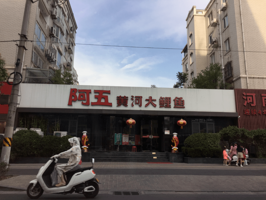 阿五"毒树"后黄河鲤鱼也有毒了 含有违禁药物