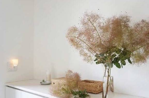 干净整洁的家是一种享受 aa0cb1c2e02040479c12aecafaae2ffe.jpeg