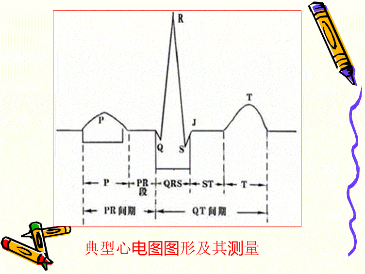 太全了心電圖基礎知識講解值得收藏