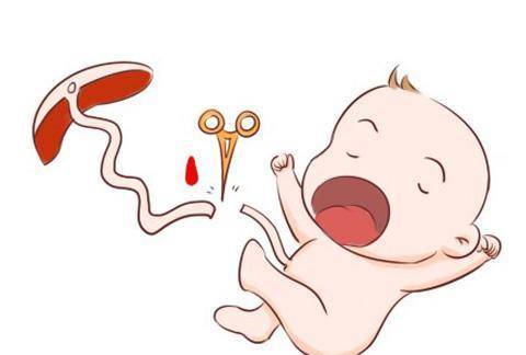 原创家长必知:新生儿脐带护理2个阶段和6大护理原则,避免发炎感染!
