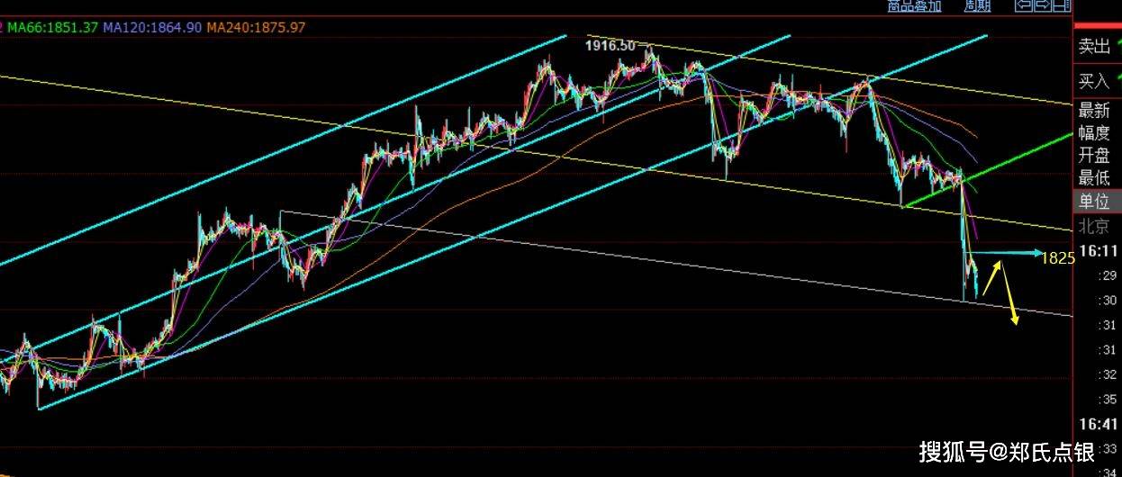郑氏排行_揭秘香港豪门郑氏家族发迹史:从给岳父打工到发展新世界帝国
