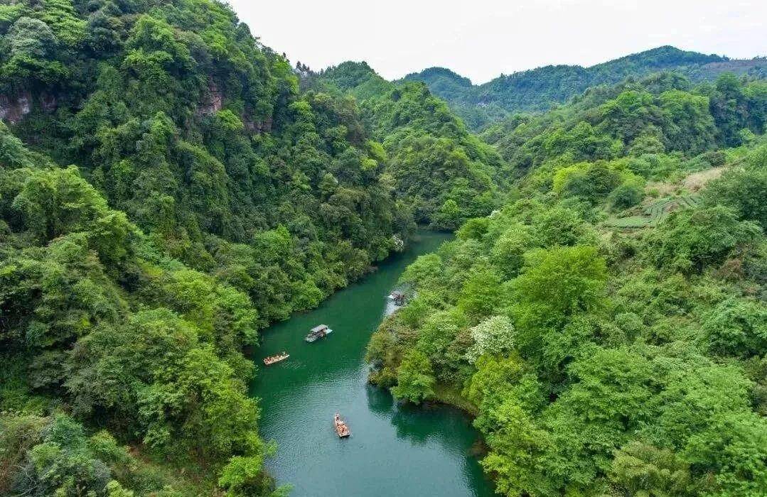 老峨山原名老峨眉山,是峨眉山的姊妹山,位於四川眉山境內,景區珍稀動