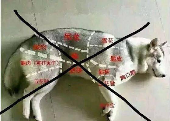 cadce0e7f0d448b7bc9f75f8367ac5a1.jpeg