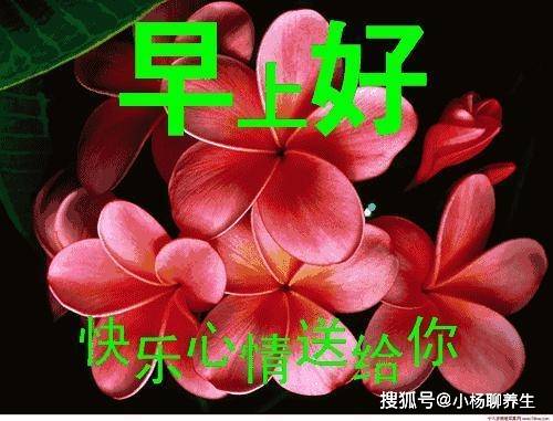 原創清晨早上好圖片問候祝福語句子願你微笑今天快樂永遠