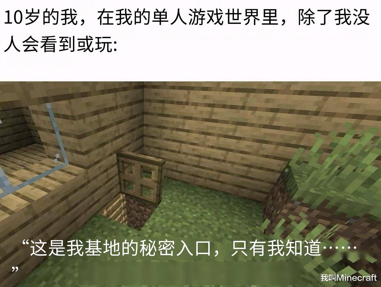 我的世界:尝试解读15张"梗"图!mojang:这几个数学题你做一下_mc