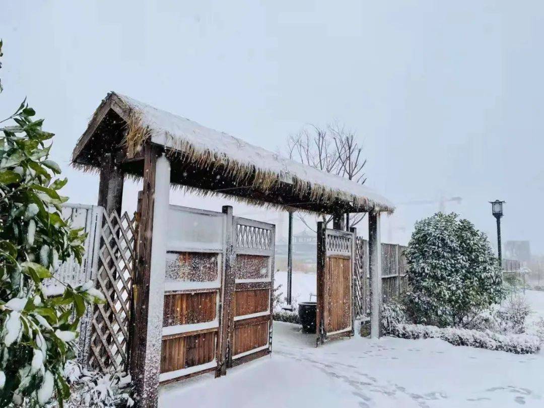 冯家旧宅闭柴关，一路寒山万木中指什么生肖解答最佳