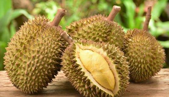 挑榴莲肉多的技巧 664f692c01454f2a85e17d22a905564e.jpeg