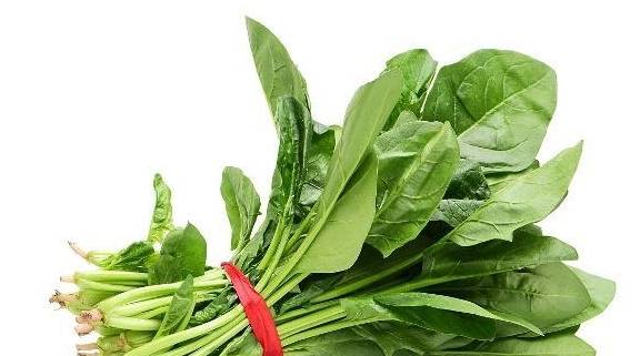 哪些蔬菜需要焯水才好吃 39dbf0b935564439a076ab73cf16faba.jpeg