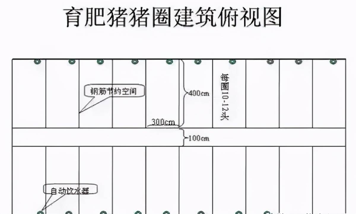 农村小型养猪场设计图图片