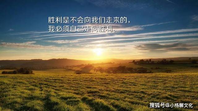 360ef950adb046ef87c83766f3438ccc.jpeg