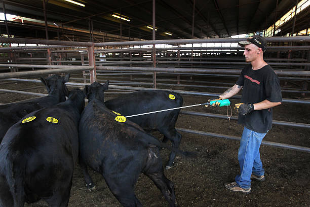 原创美国得克萨斯州的阿比林是个怎样的城市