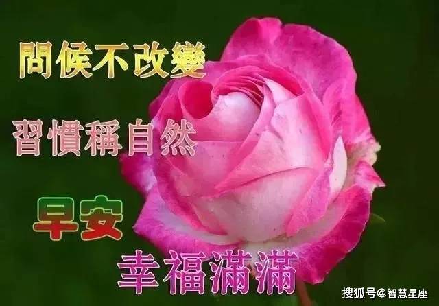 原创6月24日非常漂亮早晨好表情图片大全2021牛年祝福语动图早晨好