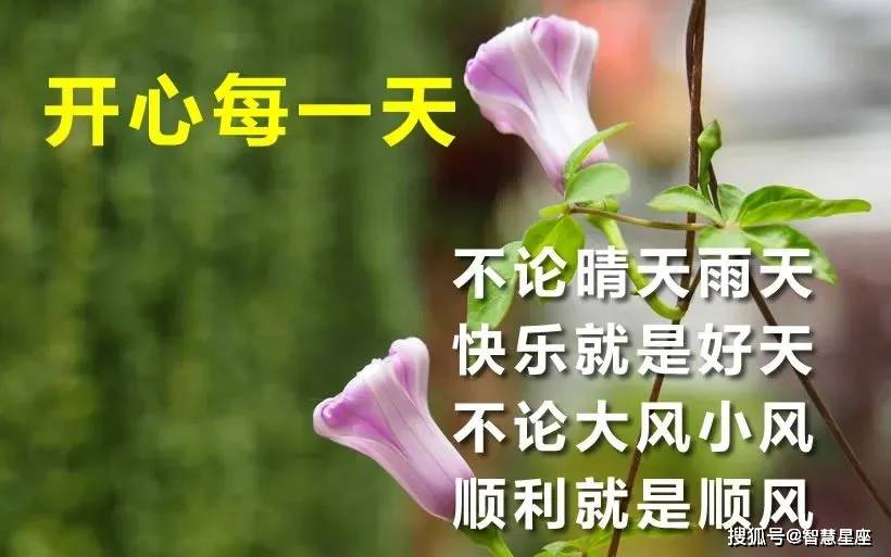 eda04b56421045f6bc50f047c993baec.jpeg