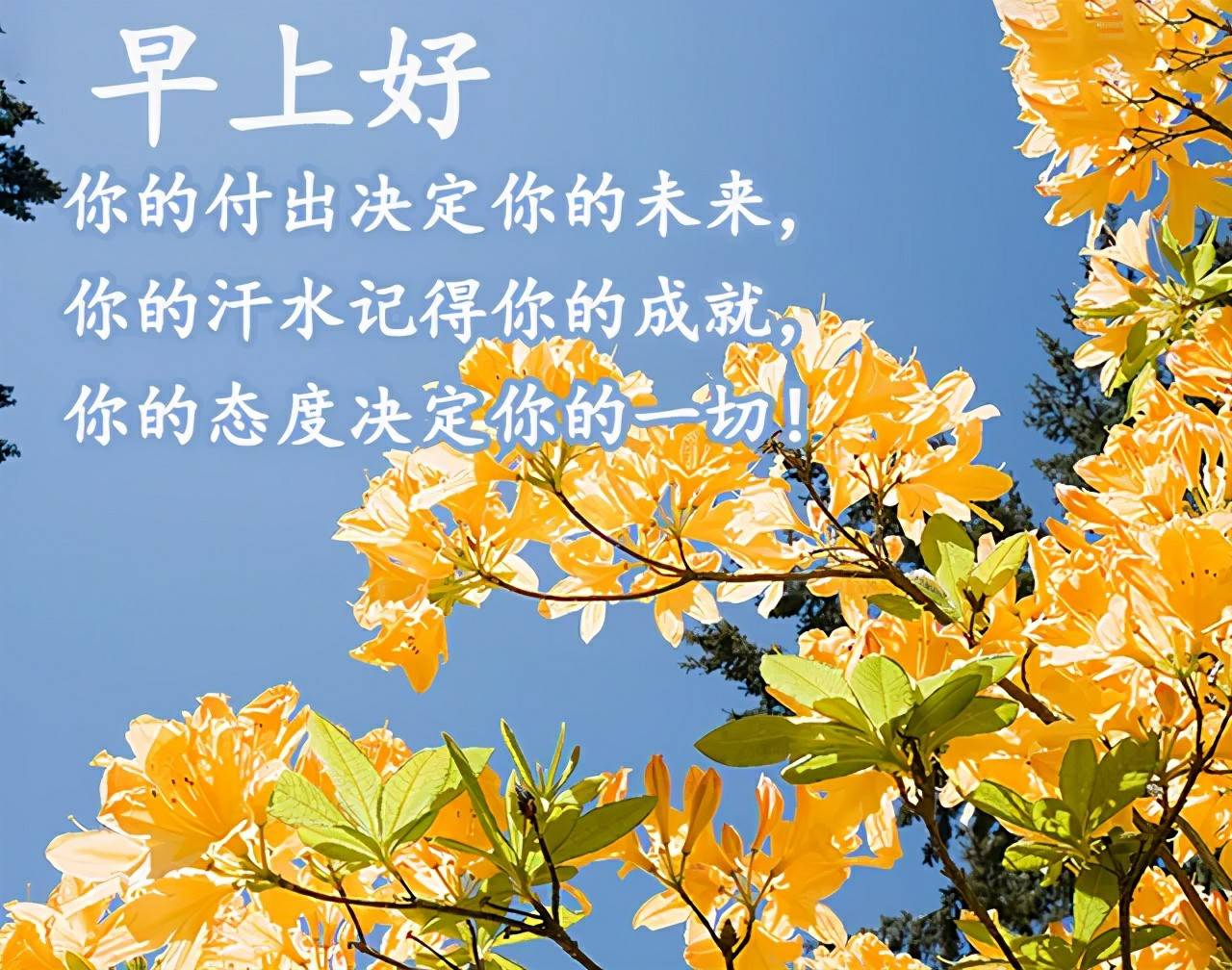 6658cdd58a1a47f4a27da4ca13f57ca4.jpeg