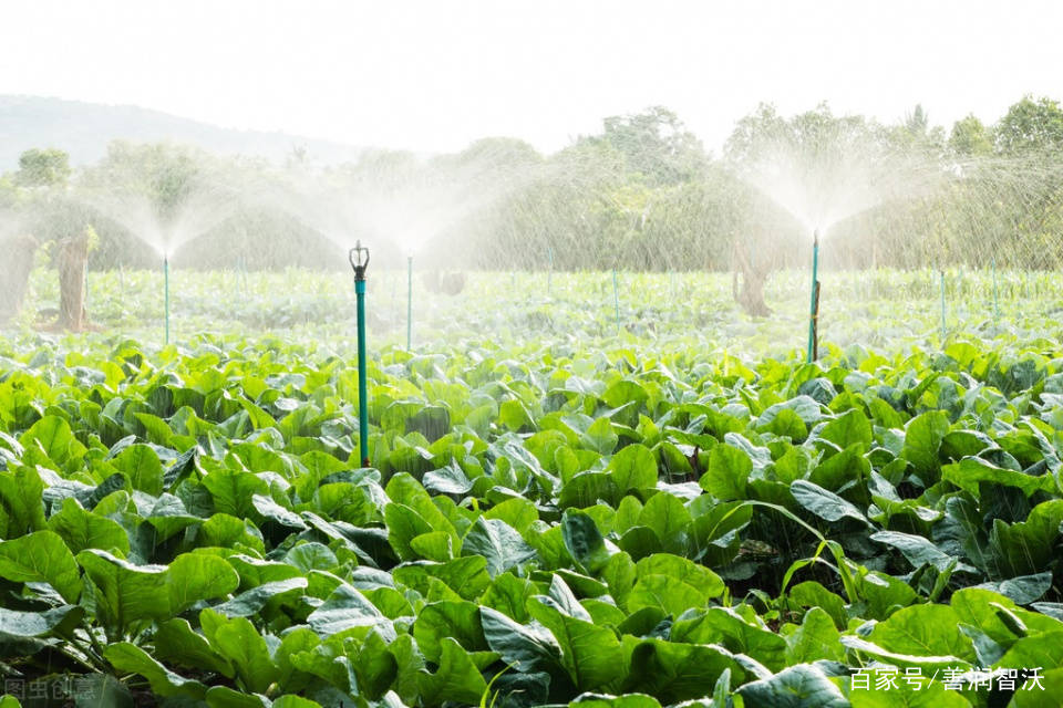 传统农业灌溉与现代节水智能灌溉对比