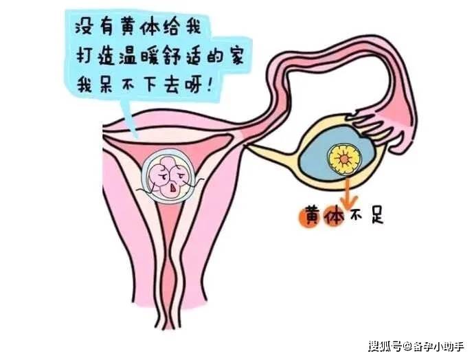 e0e508f9407a4965a739ef8a6096fe36.jpeg