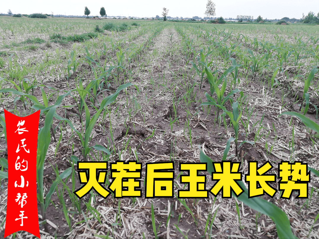 57a931a2a35646d78df3e8d36d76a5ef.png