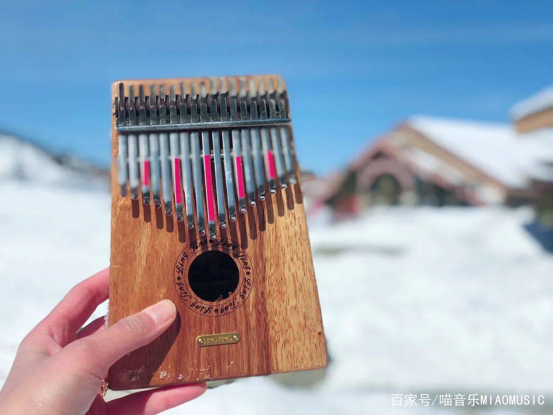 人间真实:"蜜雪冰城不嫌我穷,我也不嫌他土"_乐器