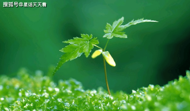 c57637616fd34de9b8bf5098b6ef1de7.png