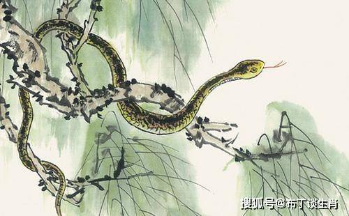 属蛇人的运势好不好 15503c8ce6f546ba8b4912d73c1ea79a.jpeg