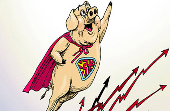 超级大肥猪动画片图片
