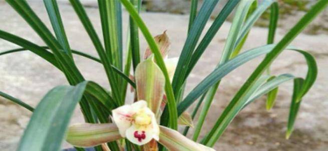 d1077332b1614423a2fff8bfd0247c16.jpeg