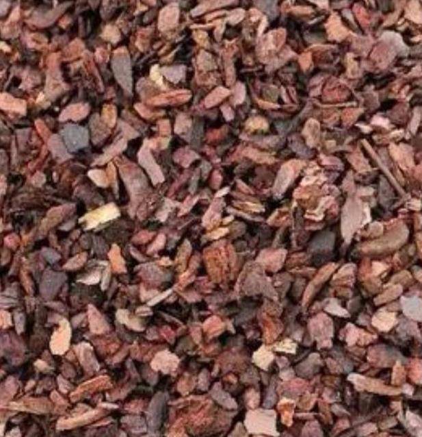 松树茸怎么用 da1a419b23fc4c52bf37a1ad47c4626b.jpeg